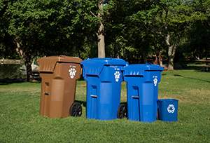 carts